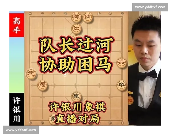许银川精彩象棋对局视频分享 深入分析顶级棋手策略与技巧