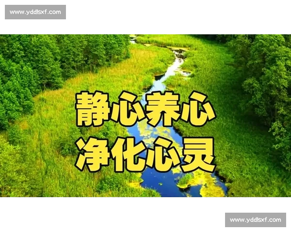 静疗比赛口号：放慢脚步，聆听心声，挑战自我，领略宁静之美